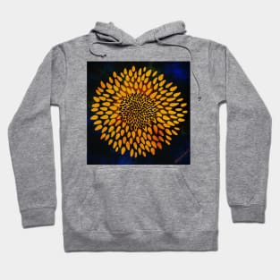 Sunflower and seeds Hoodie